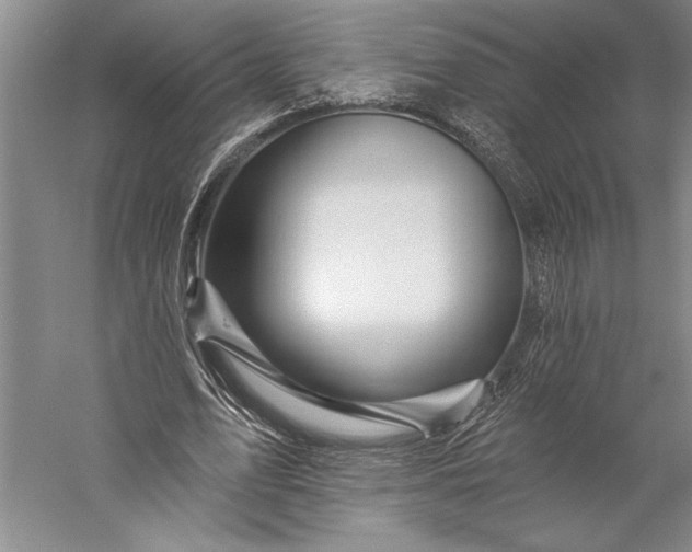 X0000056370583200509091651