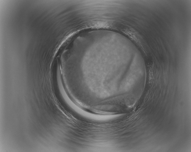 X0000056370584200509091651