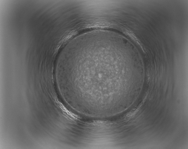 X0000056370585200509091651