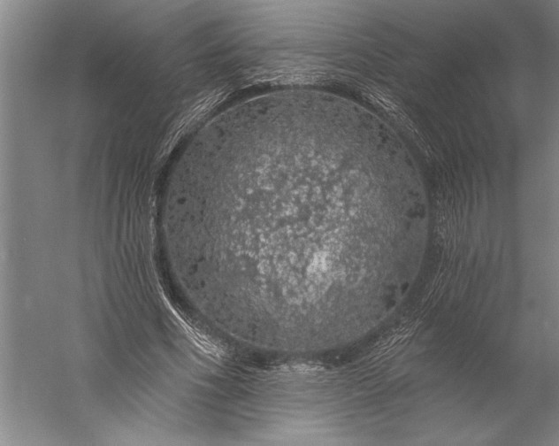 X0000056370586200509091651