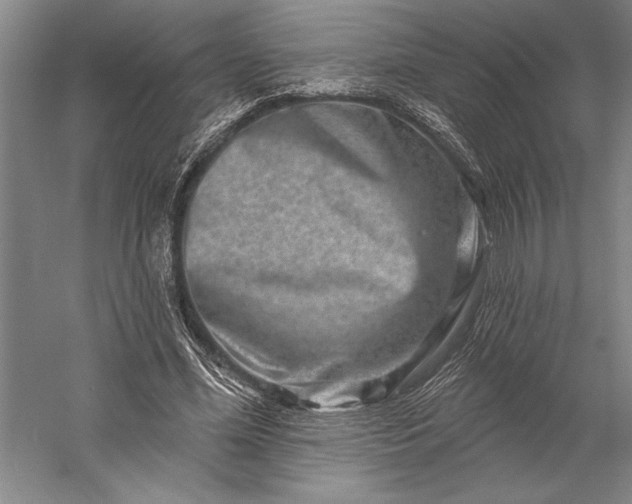 X0000056370588200509091651