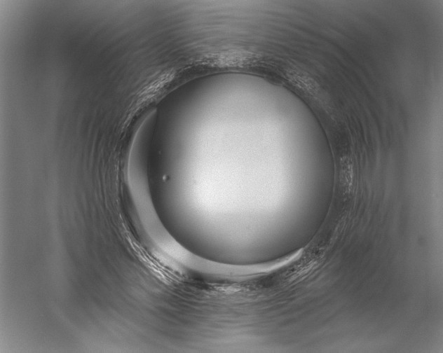 X0000056370589200509091651