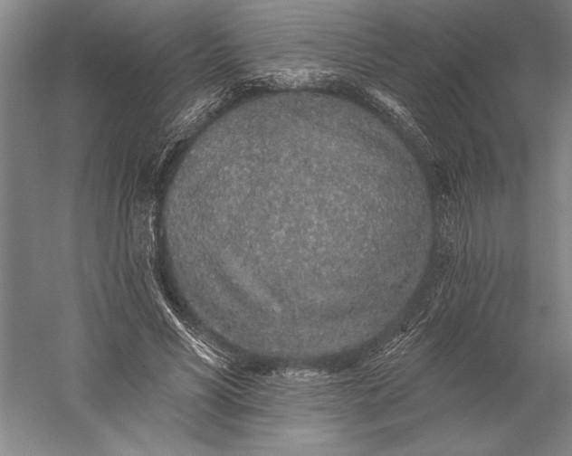 X0000056370590200509091651