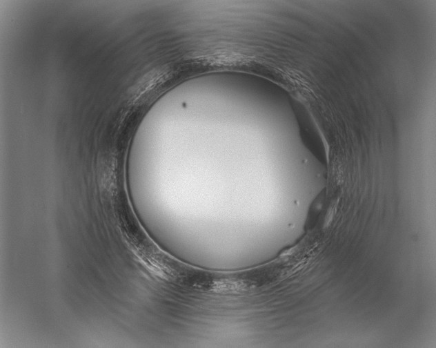 X0000056370591200509091651