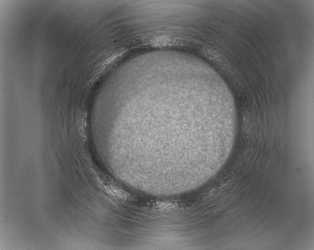 X0000056370592200509091651