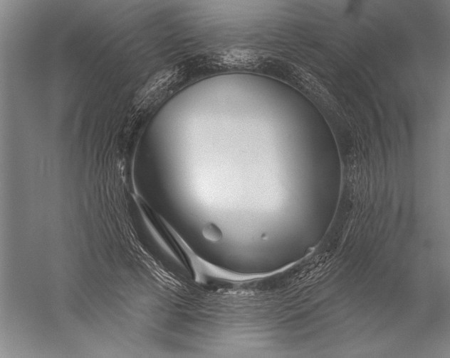 X0000056370593200509091651