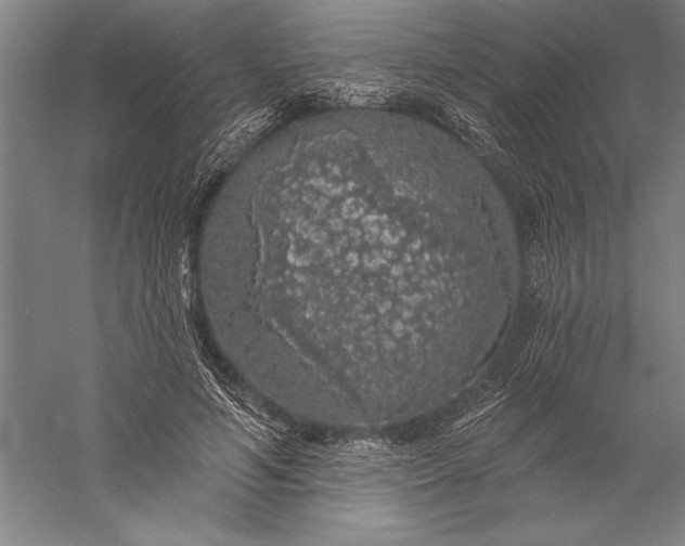 X0000056370594200509091651