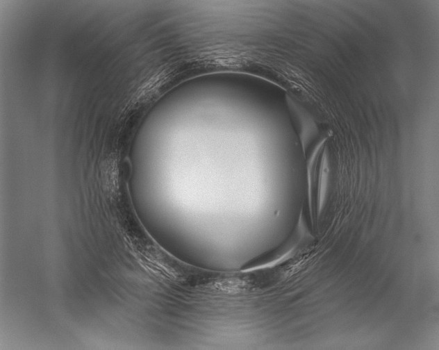 X0000056370595200509091651