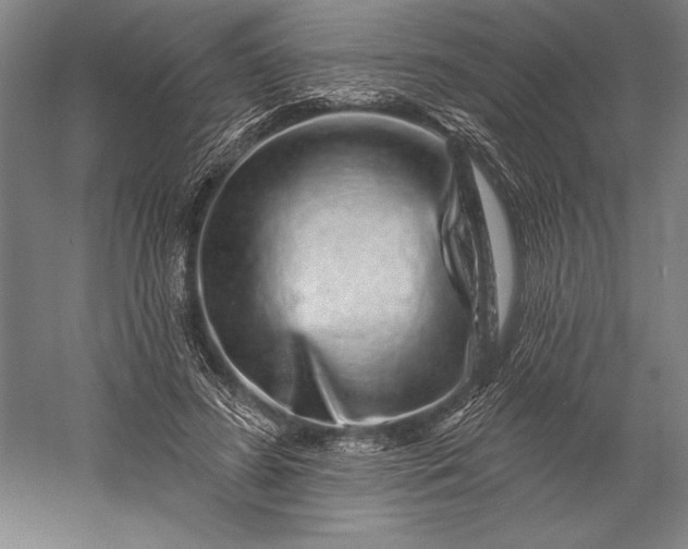 X0000056370596200509091651