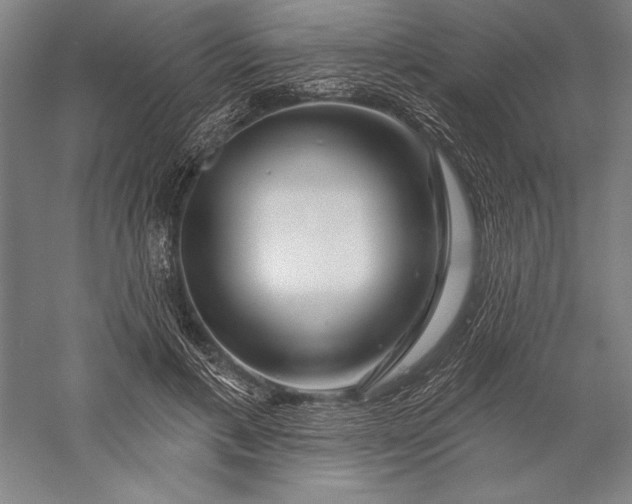 X0000056370597200509091651