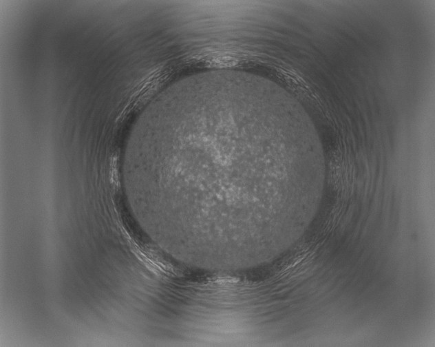 X0000056370598200509091651