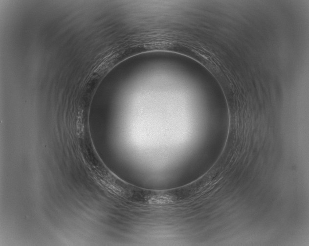 X0000056370599200509091651