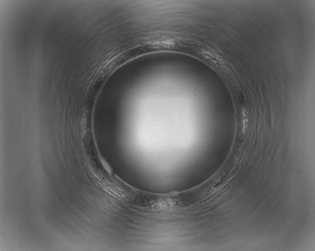 X0000056370600200509091651