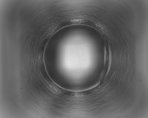 X0000056370601200509091651