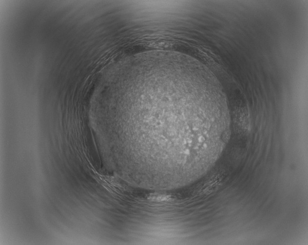 X0000056370602200509091651