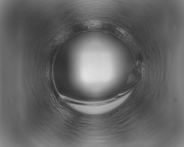 X0000056370604200509091651