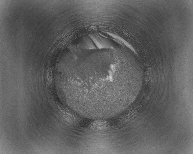 X0000056370606200509091651