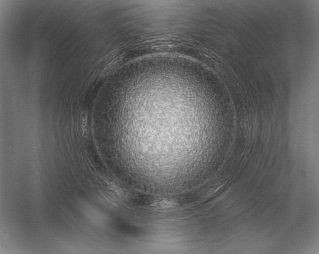 X0000056370610200509091651