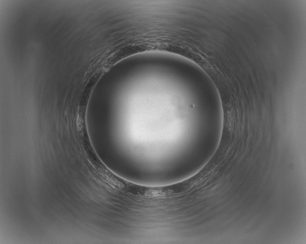 X0000056370613200509091650