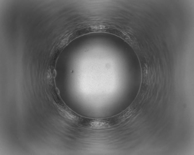 X0000056370614200509091650