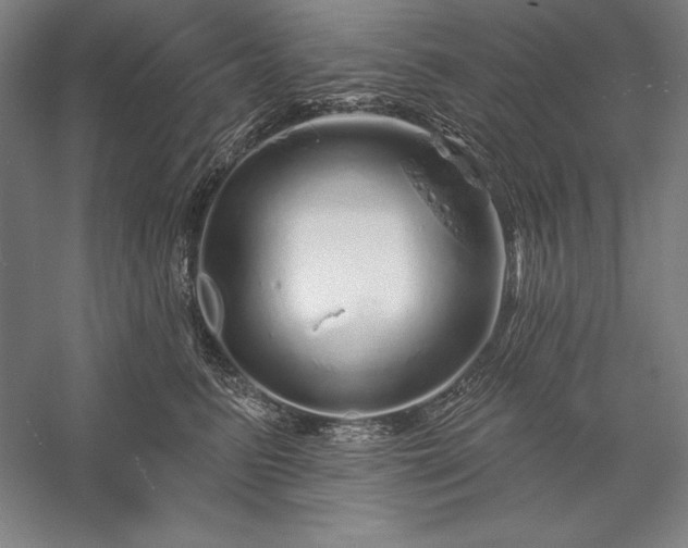 X0000056370615200509091650