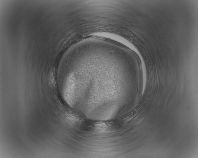 X0000056370616200509091650