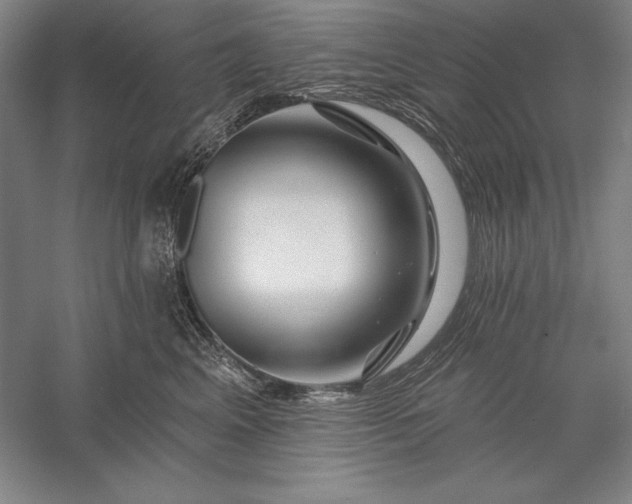 X0000056370617200509091650