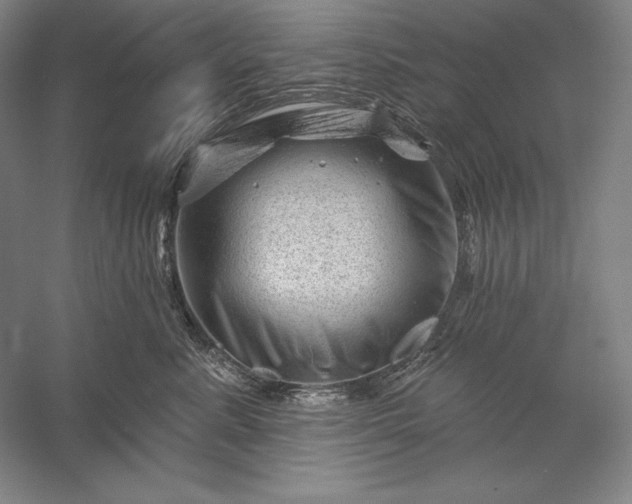 X0000056370619200509091650