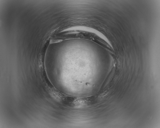 X0000056370620200509091650