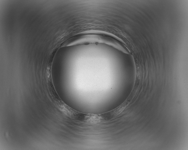 X0000056370621200509091650