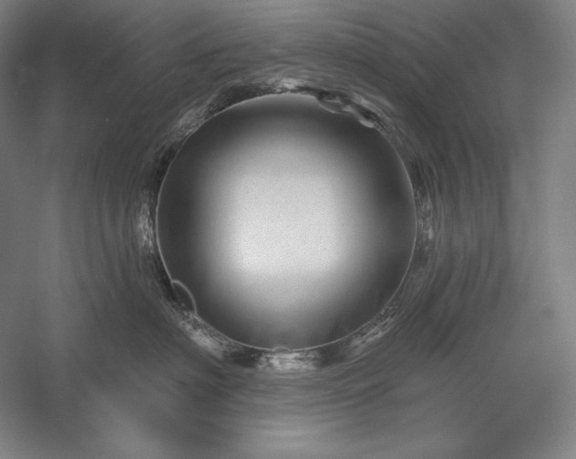 X0000056370622200509091650