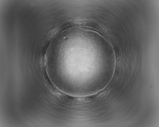 X0000056370623200509091650