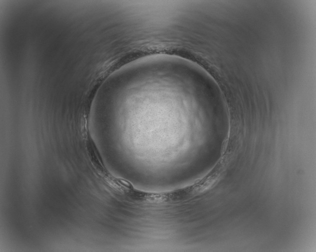 X0000056370624200509091650