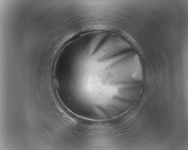 X0000056370625200509091649