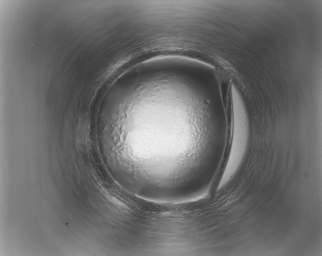 X0000056370627200509091650