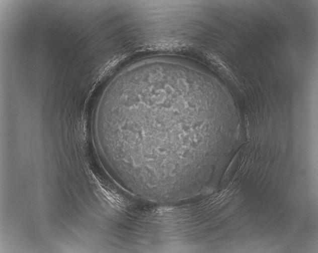 X0000056370636200509091650