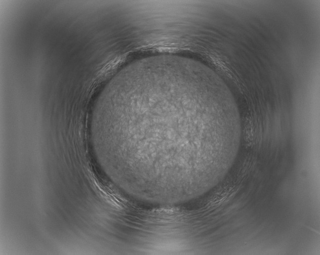 X0000056370639200509091650