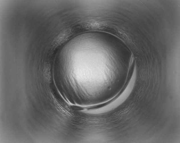 X0000056370642200509091650