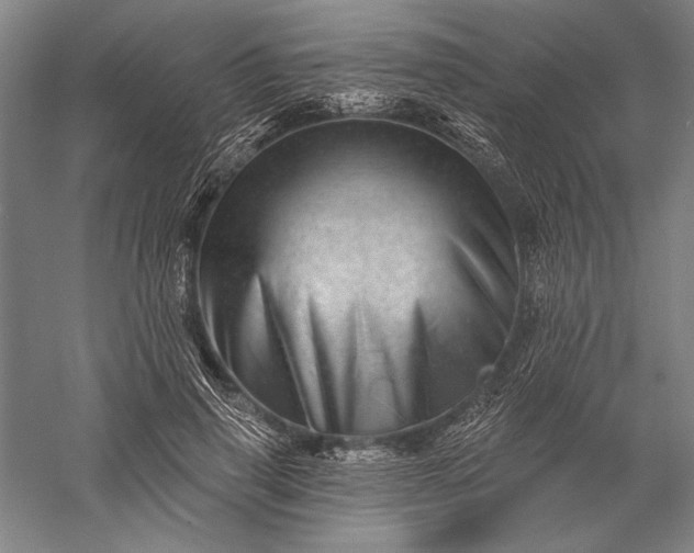 X0000056370645200509091650