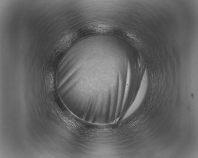 X0000056370646200509091650