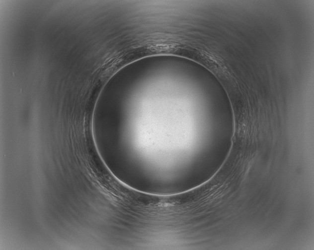 X0000056370647200509091650