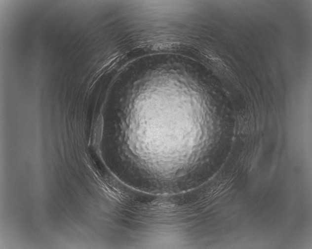 X0000056370648200509091650