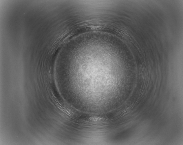 X0000056370650200509091650