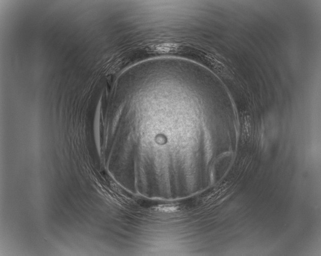 X0000056370651200509091650