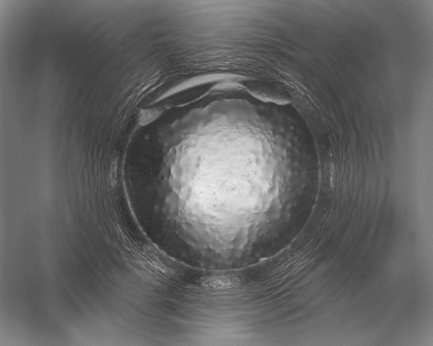 X0000056370652200509091650