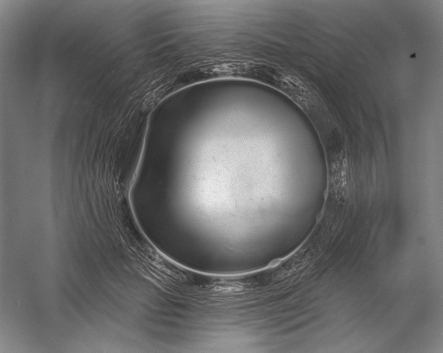 X0000056370653200509091650