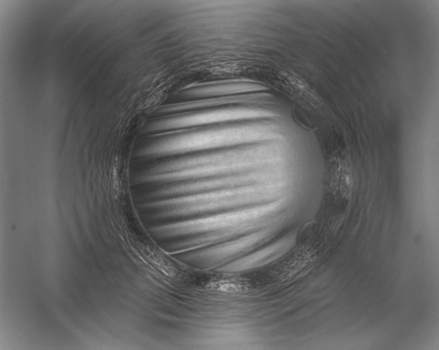 X0000056370655200509091650