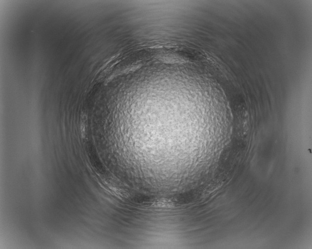 X0000056370656200509091650