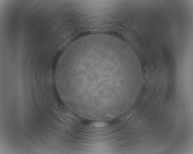 X0000056370659200509091650