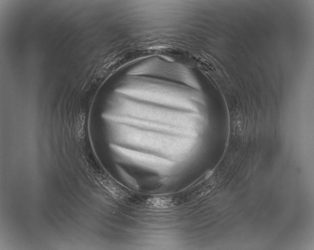 X0000056370660200509091650